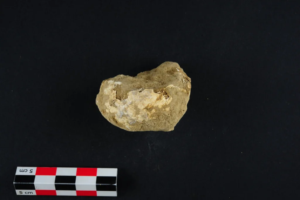Archaeologists in Bavaria unearth ancient hard-boiled egg in a child's grave, puzzling researchers about its significance.