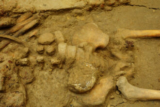 Archaeologists in Bavaria unearth ancient hard-boiled egg in a child's grave, puzzling researchers about its significance.