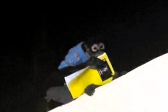 A mischievous monkey in Sinaloa, Mexico, stole a child's homework, captured on camera by Janeth, who shared the hilarious moment on TikTok, garnering over 276,000 views.