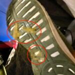 A shopper's horrifying experience: buying second-hand trainers online only to find them covered in "dog poo." The seller admits to forgetting to wash them before shipping and suggests leaving them in the sun to dry. The customer demands a full refund, while the seller, on a holiday in Benidorm, remains nonchalant. The exchange, shared on social media, sparks outrage and disbelief.