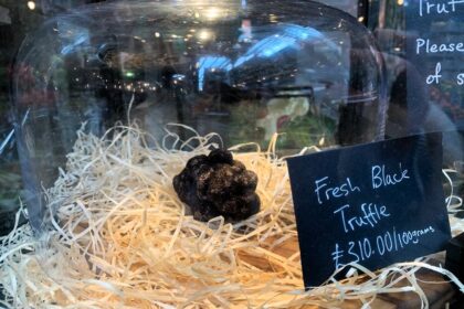 At a London food market, a rare black truffle fetches a hefty price of £310 per 100 grams, leaving shoppers astonished at its luxury.