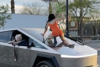 An influencer, 'Jelly Bean Brains,' stunned followers by vandalizing a Cybertruck with a tennis racket and baseball bat. The clip went viral, drawing mixed reactions, with some finding it inspiring and others condemning the damage. The reason behind the act remains unclear.