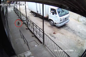 A daring monkey's escapade from a zoo lands it inside a prison in Rio de Janeiro, Brazil, before being safely returned to its habitat.