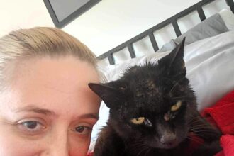 After vanishing for nine months, a wandering cat is found 200 miles away from home, malnourished but alive, sleeping in a shed's old pram.