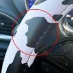 A woman gets a surprise when she spots a striking resemblance to Donald Trump's profile in her cow-print steering wheel cover, complete with a cheeky gesture.