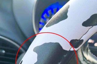 A woman gets a surprise when she spots a striking resemblance to Donald Trump's profile in her cow-print steering wheel cover, complete with a cheeky gesture.