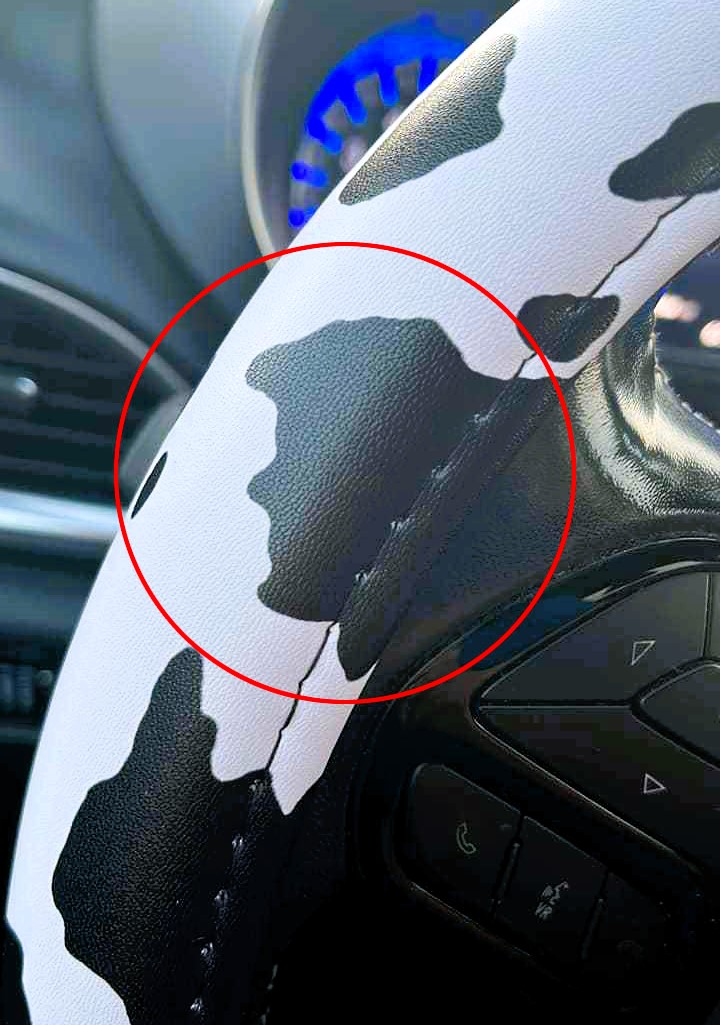 A woman gets a surprise when she spots a striking resemblance to Donald Trump's profile in her cow-print steering wheel cover, complete with a cheeky gesture.
