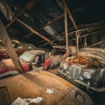 Explorer discovers vintage car graveyard in UK forest, with over 50 classic motors left to sadly rot. TikTok clip gains 35.4k views.