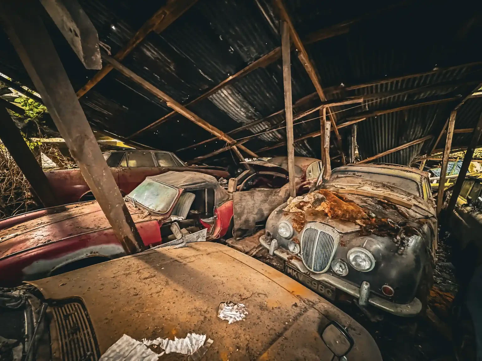 Explorer discovers vintage car graveyard in UK forest, with over 50 classic motors left to sadly rot. TikTok clip gains 35.4k views.