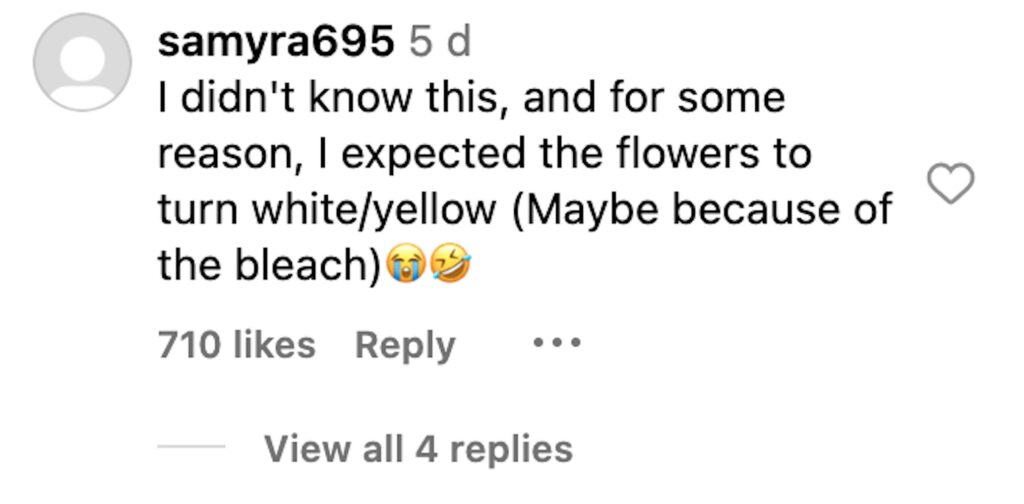 Social media comment on the post of Danielle, from the Midlands, shares a viral hack on Instagram for keeping flowers fresh longer by adding bleach to the vase water. Her post gains 10 million views as viewers are amazed by the results. While some are skeptical, many praise the simple household item's effectiveness.