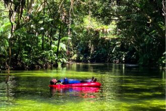 Embark on a unique retreat in one of the world's oldest tropical rainforests. Back Country Bliss Adventures offers a serene trip in the Daintree Rainforest, complete with river floating, hiking, and immersive lessons on the ecosystem. With hidden history and diverse wildlife, it's a bucket list moment for many.