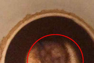 Giuditta Del Vecchio spots David Bowie's face in her morning coffee residue, complete with iconic makeup, leaving her stunned. Fans see the resemblance!