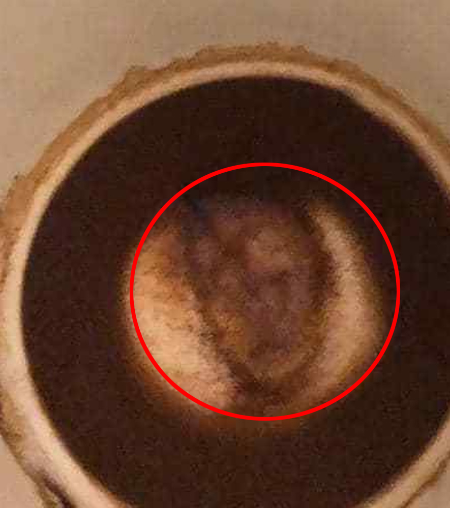 Giuditta Del Vecchio spots David Bowie's face in her morning coffee residue, complete with iconic makeup, leaving her stunned. Fans see the resemblance!