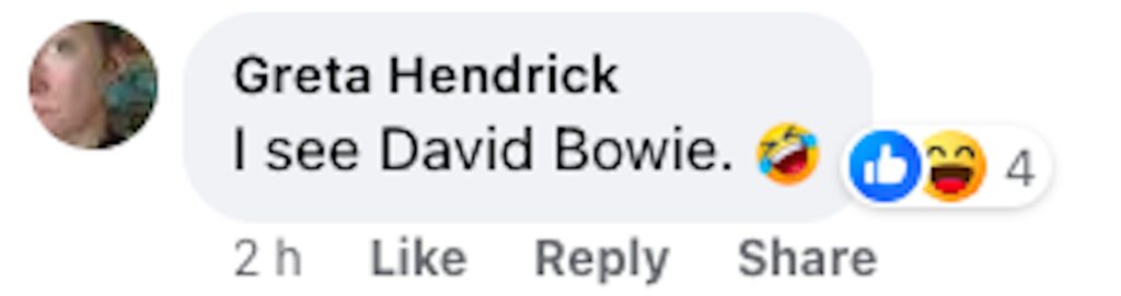 Social media comment on the post of Giuditta Del Vecchio spots David Bowie's face in her morning coffee residue, complete with iconic makeup, leaving her stunned. Fans see the resemblance!