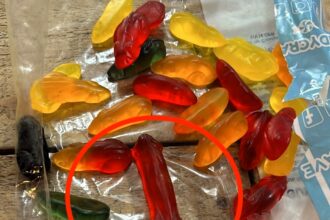 Sweet shop owner horrified to find a phallic jelly among gummy mice. Joanne Dollard of Padstow, Cornwall, discovered the surprise while preparing treats, sparking laughter and confusion.