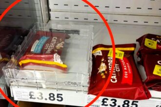 A Tesco customer was surprised to find a block of Cathedral City cheddar in a large security box, costing £3.85, amidst concerns over shoplifting during the cost-of-living crisis.