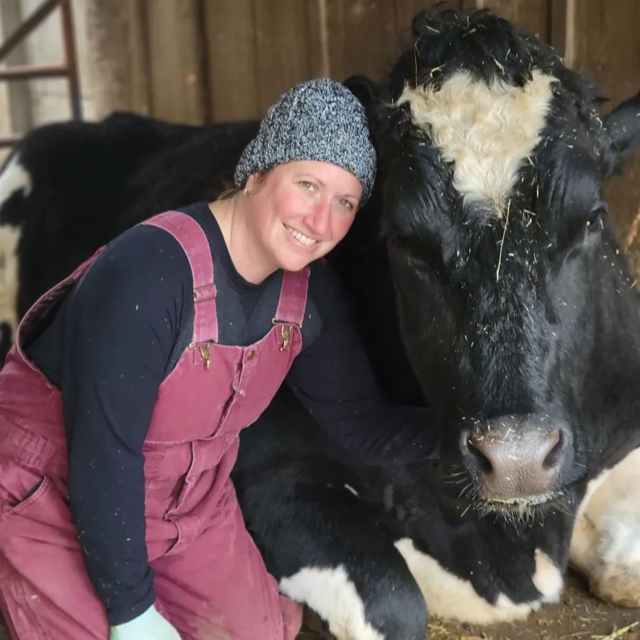 Romeo, a Holstein bull at Welcome Home Animal Sanctuary in Oregon, has been crowned the world's tallest steer by Guinness, standing at 6 feet 4.5 inches. Rescued as a calf, Romeo's story highlights the potential of male dairy calves if given a chance to thrive.