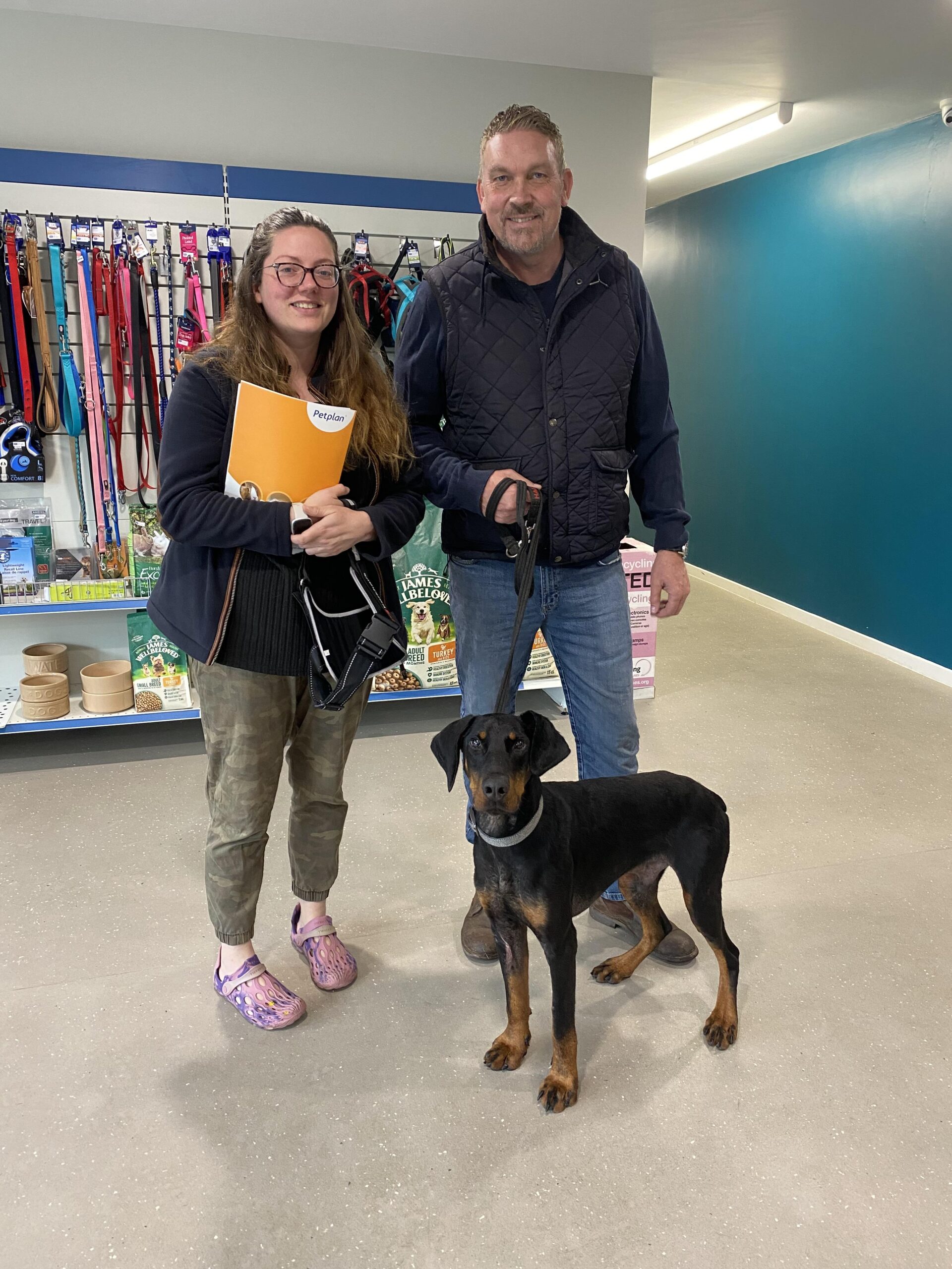 A Doberman named Dobby, found bleeding and with scaly skin in a bush, has undergone a remarkable transformation and found a new home. After RSPCA care, he now thrives with owners Josie and Scott Overton in Chesterfield.