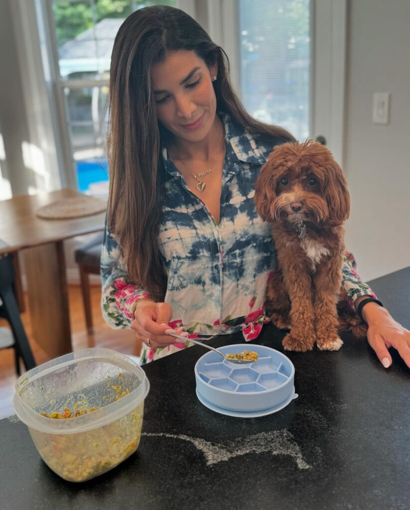 Top vet shares crucial pet feeding tips to keep dogs and humans safe, warning against raw diets due to bacterial risks and promoting balanced commercial foods.