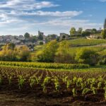 Discover Saint-Émilion, a medieval village in Southwestern France where wine flows abundantly, boasting centuries-old vineyards, UNESCO World Heritage status, and a rich history.