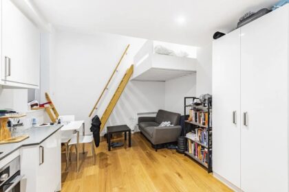 Tiny London flat slightly bigger than a football six-yard box rents for £1,395/month. The 222 sq ft studio features a raised bed over the sofa and modern kitchenette.