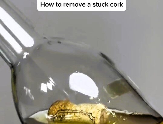 A TikTokker has shared a viral summer hack for wine lovers who drop the cork in the bottle, using a plastic bag to gently inflate and retrieve it, avoiding a ruined drink.