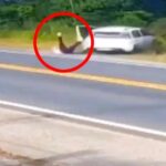A couple's heated argument took a dangerous turn when they both fell out of their moving car. The incident, captured on camera, occurred during a dispute on a highway in São João Batista, Brazil. Authorities are investigating the circumstances surrounding the incident.