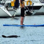 A woman shared the spectacular moment a group of dolphins started racing her to the shore while she was paddle boarding. The encounter, captured on video, quickly went viral on social media.