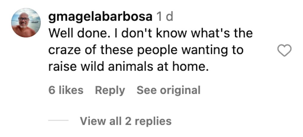 Social media comment on the post of Influencer Nouman Hassan, who keeps wild animals as pets, was slapped in the face by his cheetah in a video that sparked outrage online, highlighting the risks of domesticating wildlife.
