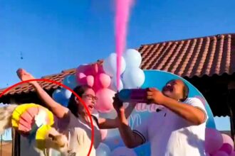 Witness the controversial moment at a gender reveal party where a mum-to-be inadvertently tosses her dog while celebrating the news. Despite mixed reactions, the viral video sparks both outrage and humor online.