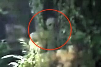 A mysterious 'alien' was spotted in the Amazon jungle, captured by a drone. The grey figure, with a bulbous head and long limbs, was filmed by conservationists, sparking discussions about extraterrestrial life.