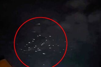 After a magnitude 5.6 earthquake shook Tokat Province, Turkey, locals were stunned by a swarm of bright lights resembling UFOs in the night sky. While some speculated about supernatural causes, others attributed the phenomenon to natural occurrences like seagulls or geese taking flight due to the earthquake.