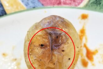 A woman in Philadelphia was left in stitches after spotting Donald Trump's face in a potato. The uncanny resemblance amused social media users who agreed with her discovery.