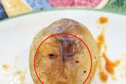 A woman in Philadelphia was left in stitches after spotting Donald Trump's face in a potato. The uncanny resemblance amused social media users who agreed with her discovery.