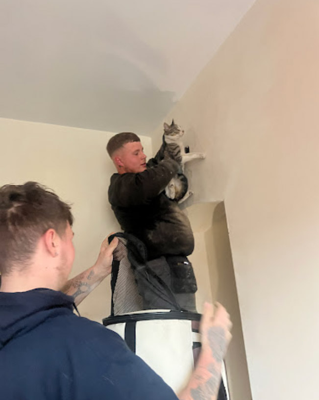 Adorable 10-month-old cat Luna rescued from chimney after falling 13ft. Thanks to quick action by fire service and Avondale Sweeps, she was safely reunited with her owners.