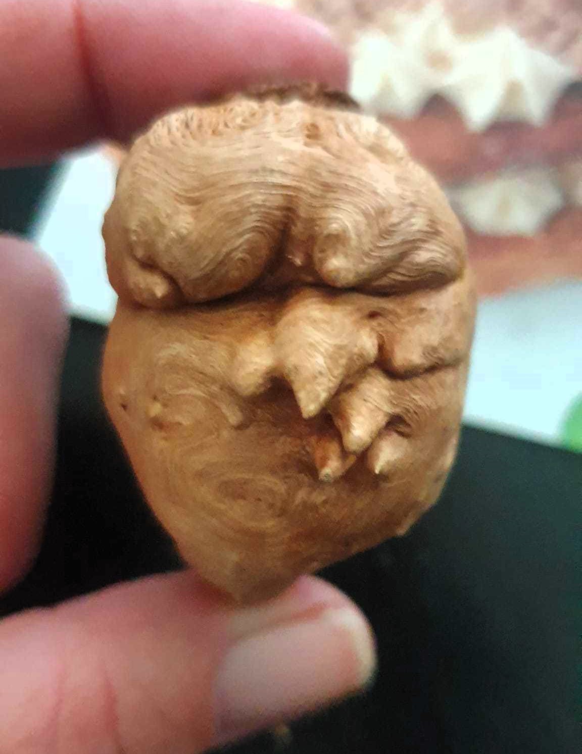 A Glasgow schoolgirl found tree bark resembling Donald Trump's face. The 10-year-old and her mum, Michelle Mcravey, agree it looks like the ex-US President.