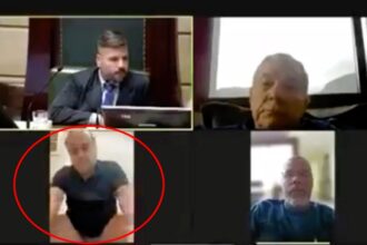 Councillor stuns colleagues by appearing on the toilet during an online meeting. The 78-year-old former mayor's mishap quickly became a hot topic in Brazil.