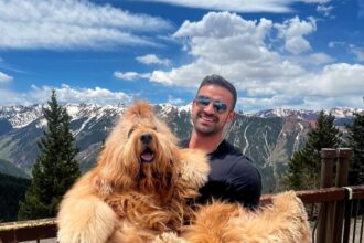 Brodie the Goldendoodle goes viral on TikTok for his enormous size. Weighing 85lbs and standing over 5ft tall, fans compare him to Chewbacca and a teddy bear.