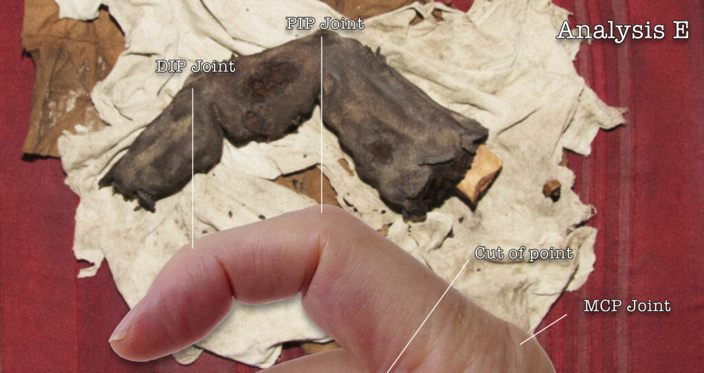 A huge mummified finger found in Egypt could suggest ancient giants existed. Discovered by adventurer Gregor Spörri in 1988, the relic measures 38 centimeters and resembles a human finger.