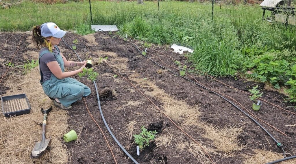 From city life to eco living: Former fire dancer Megan Strabley shares her journey to homesteading, raising animals, and growing her own food for a fulfilling, self-sufficient lifestyle.