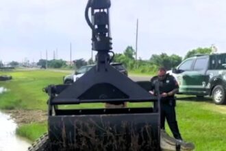 Cops use a grapple truck to relocate a 12ft alligator from a drainage ditch in Monte Belvieu, Texas. Team effort ensures safe removal of the giant reptile.