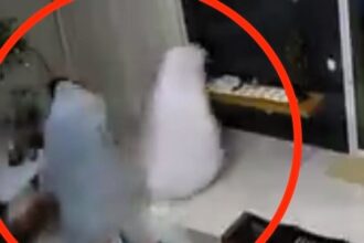Two crooks in bed sheets robbed a family home in Montanha, Brazil, stealing valuables worth £5,990. CCTV captured the bizarre heist.