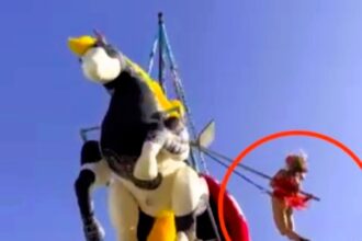 A performer at Wayne Lineker's O Beach club in Ibiza fell from a crane-suspended stage into a pool of shocked revellers. Miraculously, she escaped without injury.