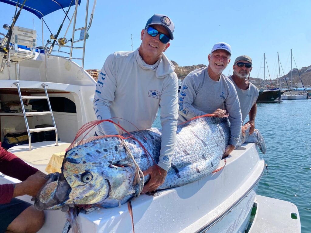 Rare deep-sea oarfish rescued from shark attack off Baja California Sur. Seen as earthquake harbingers, the 9.8-ft fish later died, sparking social media intrigue.