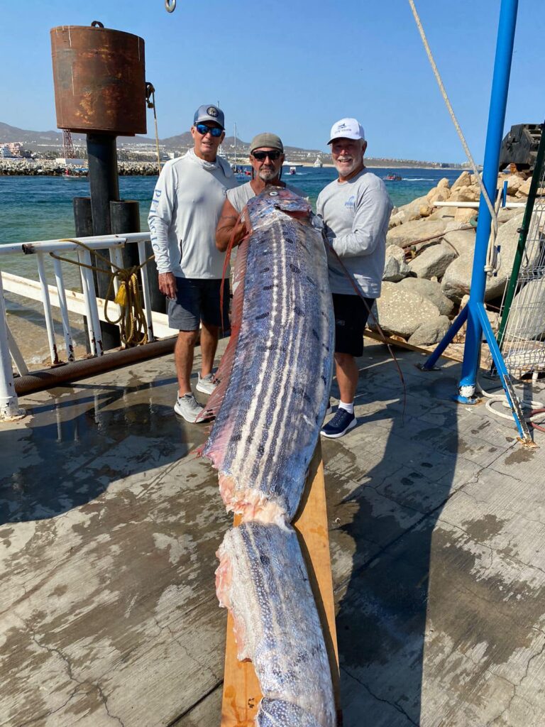 Rare deep-sea oarfish rescued from shark attack off Baja California Sur. Seen as earthquake harbingers, the 9.8-ft fish later died, sparking social media intrigue.