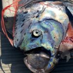 Rare deep-sea oarfish rescued from shark attack off Baja California Sur. Seen as earthquake harbingers, the 9.8-ft fish later died, sparking social media intrigue.