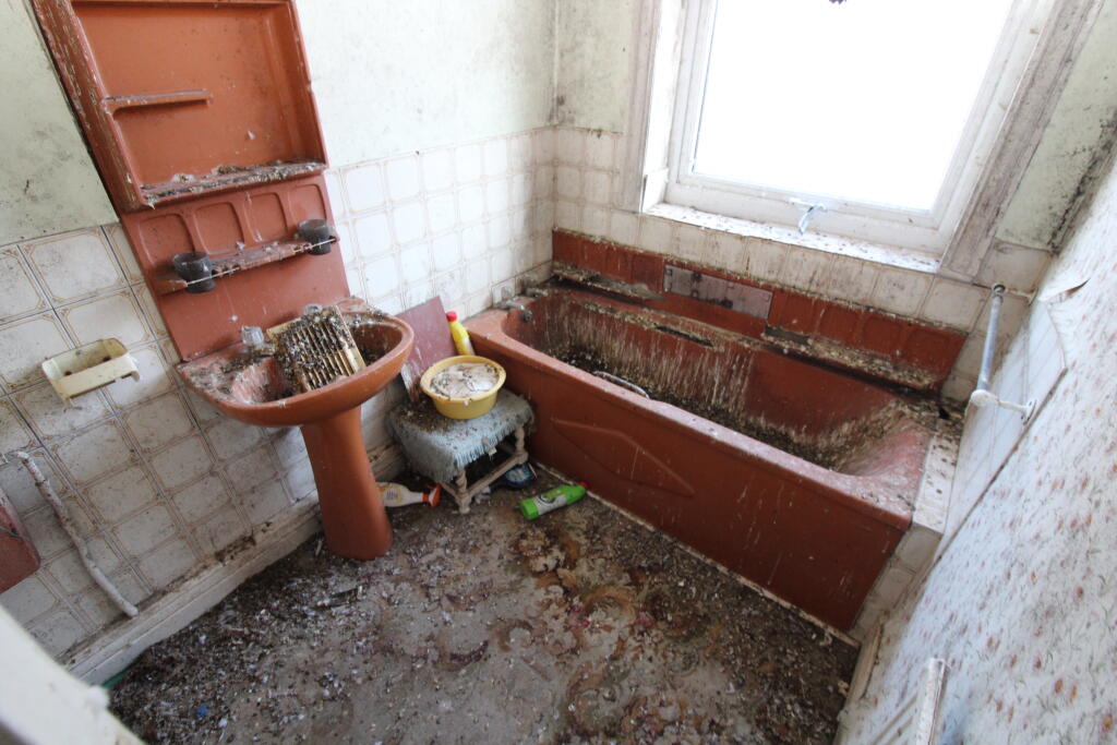 £65K Home with Pigeon Problem! Fixer-upper or Feathered Friend's Paradise? See Pics!