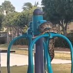Shocked passerby spots huge snake coiling around outdoor gym equipment in Cutler Bay, Florida. Witness shares viral photo online, garnering over 500 likes and amusing comments.
