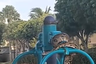 Shocked passerby spots huge snake coiling around outdoor gym equipment in Cutler Bay, Florida. Witness shares viral photo online, garnering over 500 likes and amusing comments.