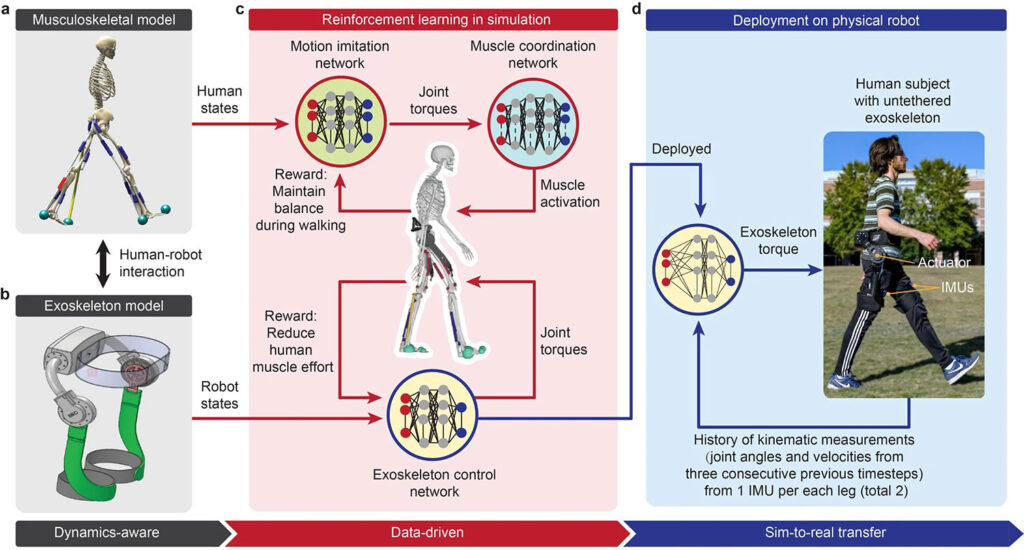 Researchers develop a full-body robotic exoskeleton with AI-driven muscles, enhancing mobility for disabled individuals and efficiency for workers. Promises reduced energy use.